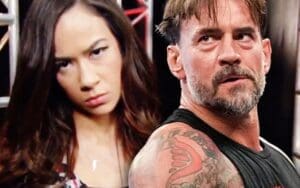 CM Punk Says Working With AJ Lee Isn’t Happening CM Punk Says Working With AJ Lee Isn’t Happening