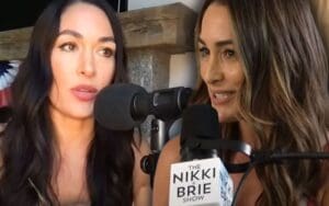 Nikki and BrieBella Expose the Stigma They Faced from Brands for Being Pro Wrestlers