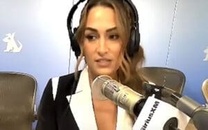 Nikki Bella Breaks Down the Chaos of Balancing WWE, Motherhood and Media Life