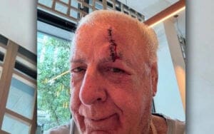 Ric Flair Posts Graphic Injury Update After Missing Convention—But There’s Good News Behind It
