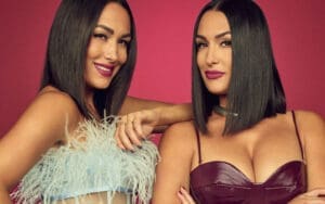 Nikki Bella Wants Brie Back in WWE Despite AEW Ties — Calls Out “Business Roadblocks”