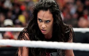 AJ Lee Accused of No Longer Being a Big Draw in WWE Long-Term