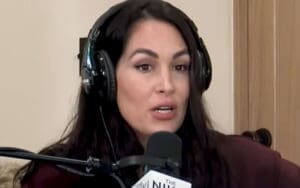 Brie Bella Regrets WWE Return After Childbirth