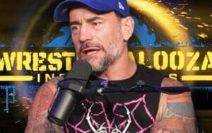 CM Punk Admits Wrestlepalooza Is a ‘Ridiculous’ Name for a WWE Premium Live Event