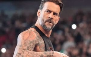 CM Punk Rips Into Fans Who Follow Him to Airports and Hotels