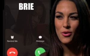 Nikki Bella Says She Was In Her Birthday Suit When Brie FaceTimed Her During Murder Mystery Party Nikki Bella Says She Was In Her Birthday Suit When Brie FaceTimed Her During Murder Mystery Party