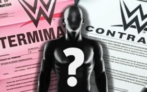 WWE’s New Contracts Include One-Year Non-Compete Clause After Termination
