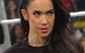 AJ Lee Targeted With Deranged ICE Threats After WWE RAW Return AJ Lee Targeted With Deranged ICE Threats After WWE RAW Return