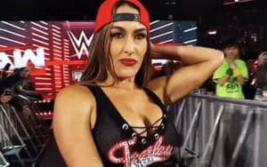 Nikki Bella Breaks Silence After Heel Turn on WWE RAW Nikki Bella Breaks Silence After Heel Turn on WWE RAW