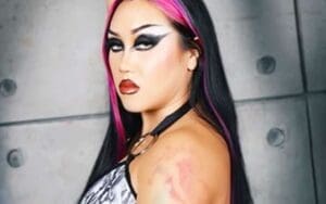 Viva Van Promotes AEW Full Gear with Cheeky Lingerie Photo Drop