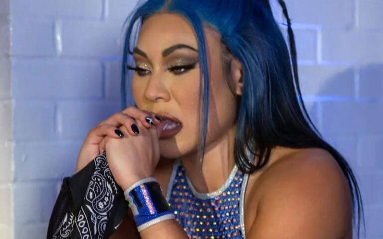 Michin Pulled from WWE Holiday Tour Due to Injury