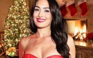 Nikki Bella Confirms Role in Christmas Movie ‘The Gift Exchange’ Nikki Bella Confirms Role in Christmas Movie ‘The Gift Exchange’