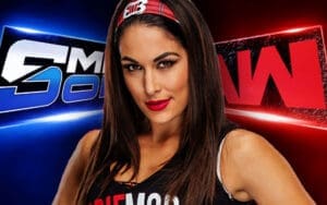 Brie Bella's Brand Assignment Revealed Following WWE Royal Rumble Return